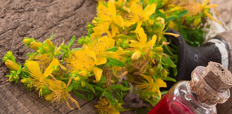 Saint John’s Wort: Stabilizes Changes in Mood